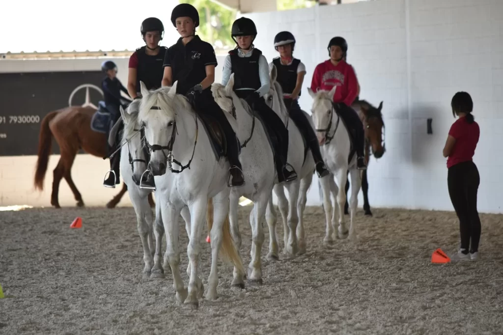 Cuánto cuestan las clases de equitación en CDMX 10 clases equitacion