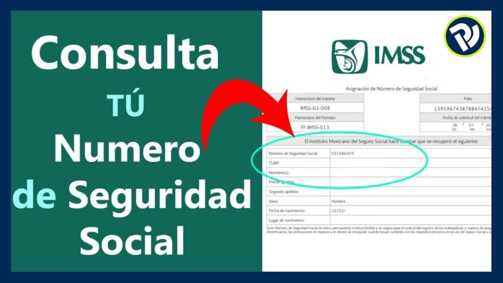 Cómo consultar tu NSS sin usar correo electrónico 14 consultar nss