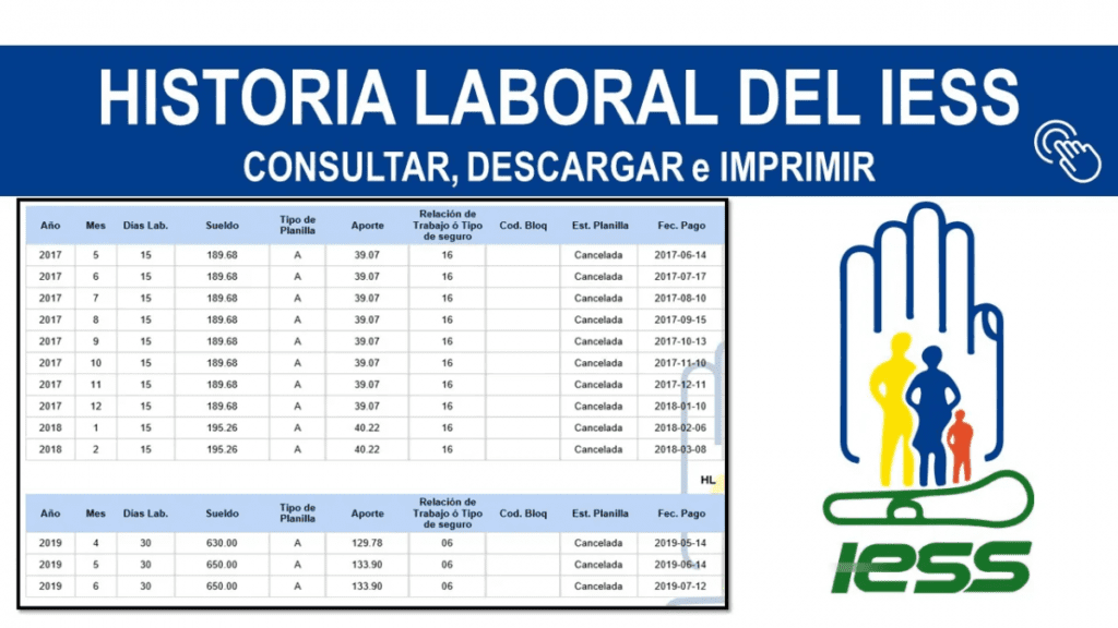 Cómo consultar el historial laboral por RFC 2 historial laboral