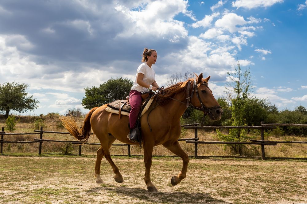Cuáles son las mejores clases de montar a caballo en mi área 5 montar caballo