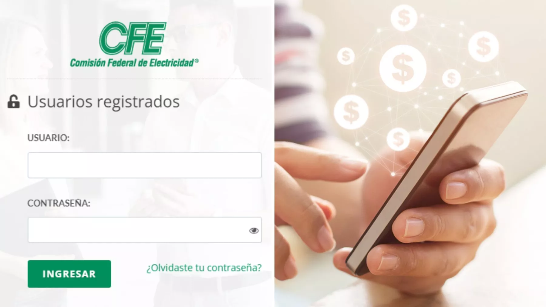 pagar cfe