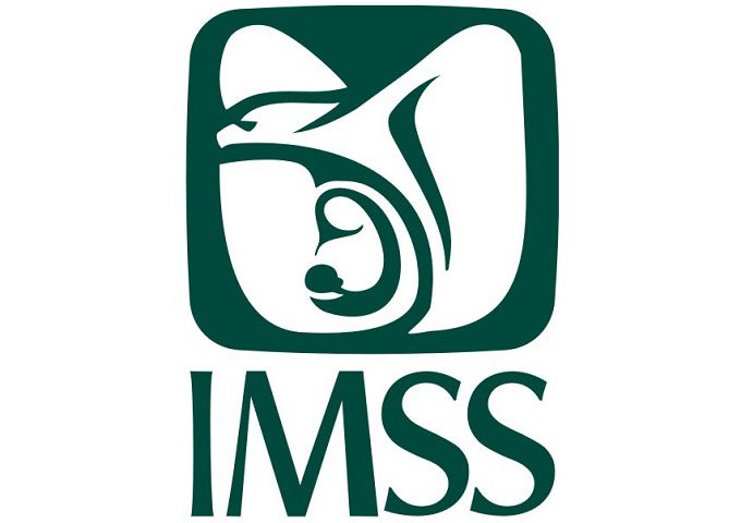 paritaria imss