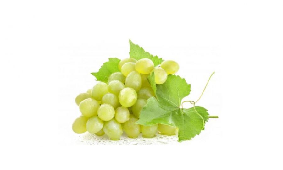 Cómo cultivar uvas blancas sin semilla en casa 10 uvas blancas